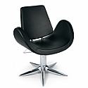 Gamma Bross - Alipes Parrot Styling Chair 